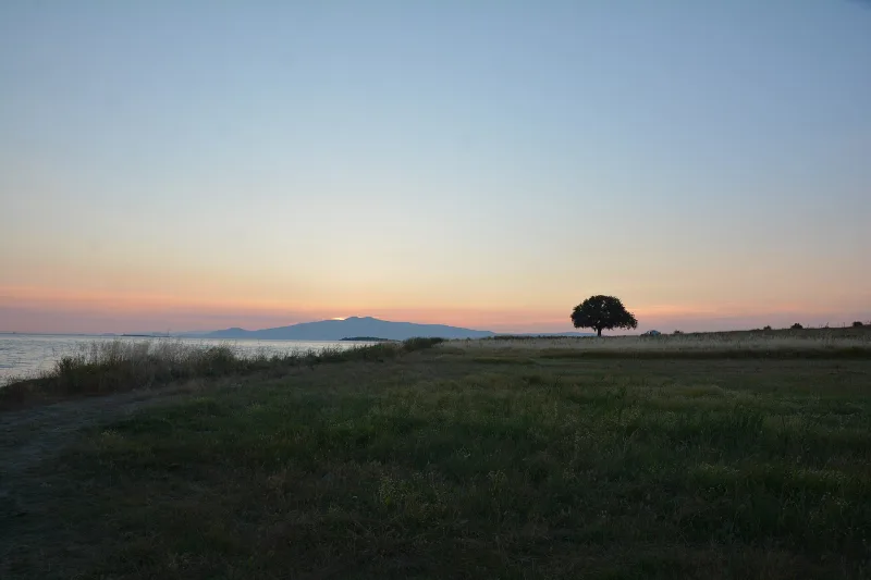 Gryneion (Gryne) — l'oracle d'Apollon près d'Aliağa, à Izmir